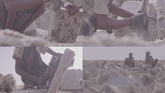 非洲劳工 埃塞俄比亚 阿尔法人采集盐砖