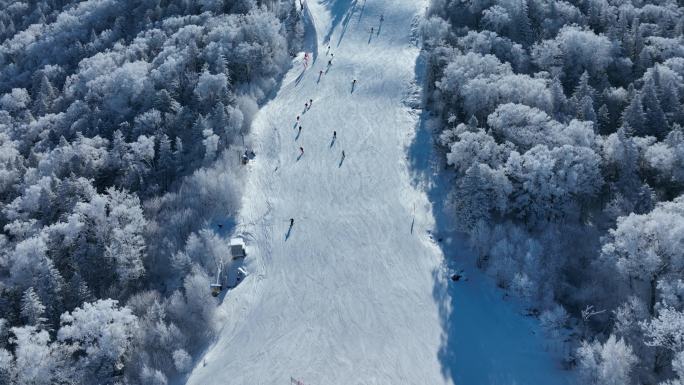 雪景雪场滑雪航拍镜头