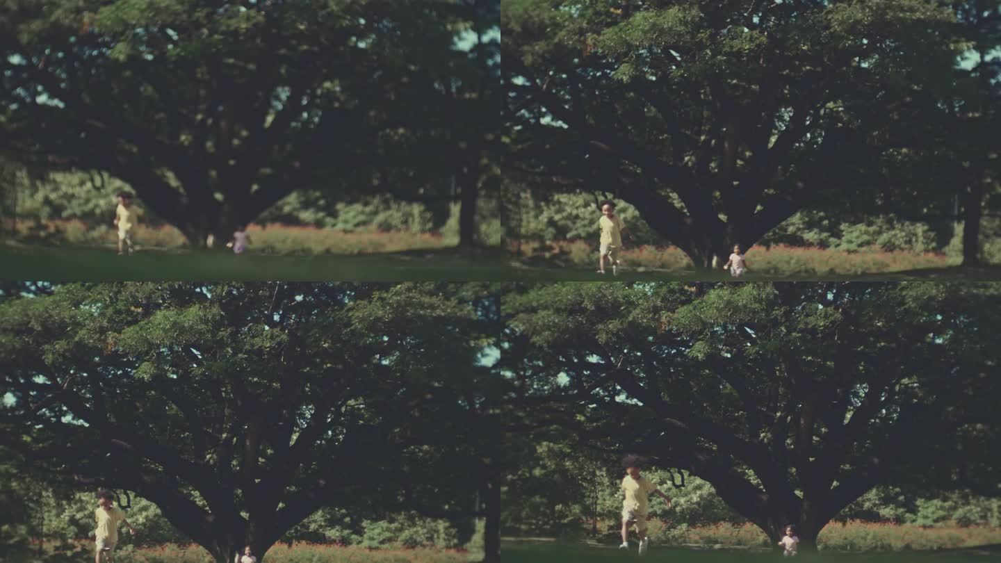 花园里的一棵大树孩子玩耍奔跑视频素材