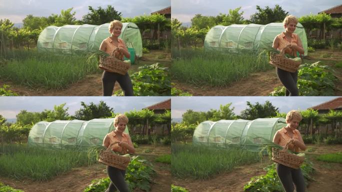 快乐的女农民拿着一篮子蔬菜