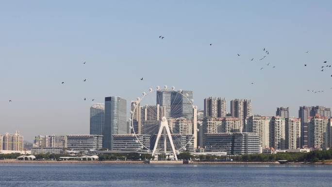 深圳前海欢乐港湾湾区之光