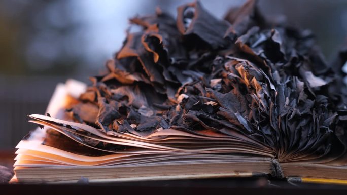 被烧毁的书的残骸特写。烧焦的书的灰烬