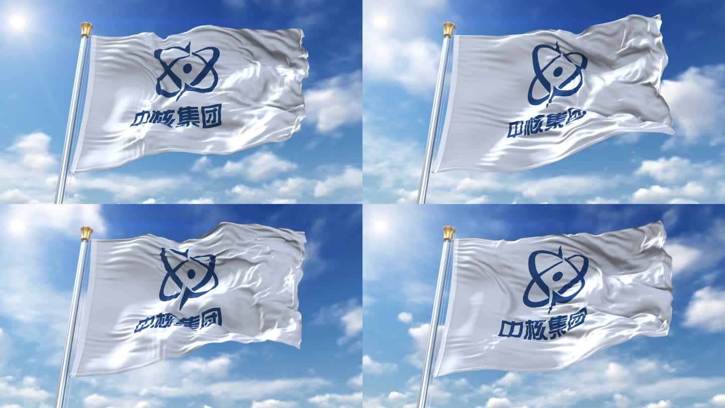 中核集团旗帜