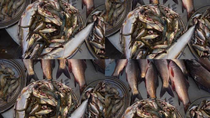 各种大小淡水鱼被放在银盘上，在本地鱼市出售。