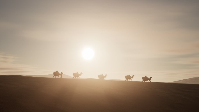 4K黄昏 沙漠 骆驼