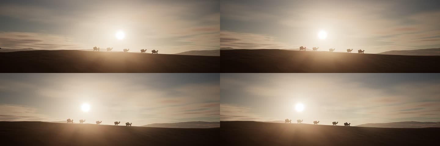 4K黄昏 沙漠 骆驼