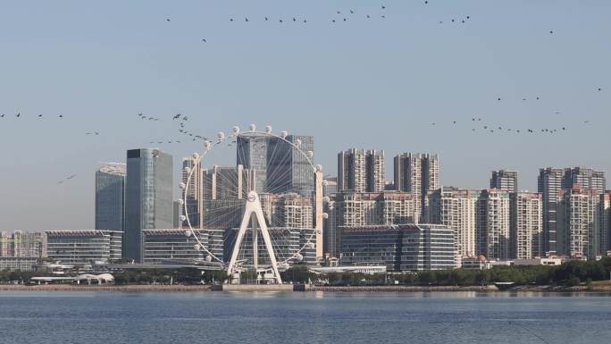 深圳前海欢乐港湾湾区之光