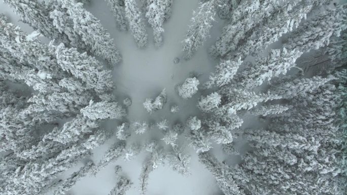 电影航拍科罗拉多冬季仙境春天深粉雪覆盖松树洛夫兰滑雪胜地艾森豪威尔隧道库恩山偏远地区70大陆分水岭落