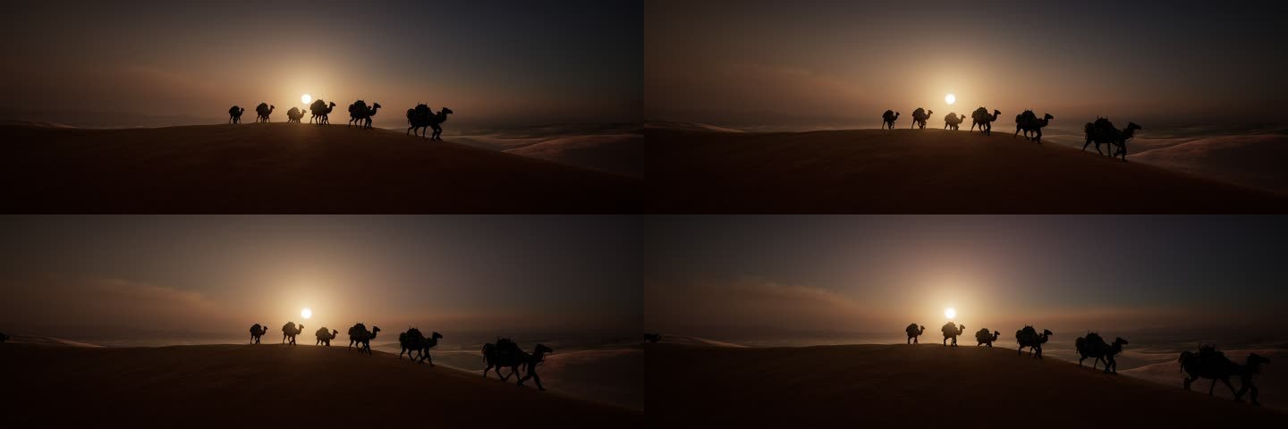 4K黄昏 沙漠 骆驼8