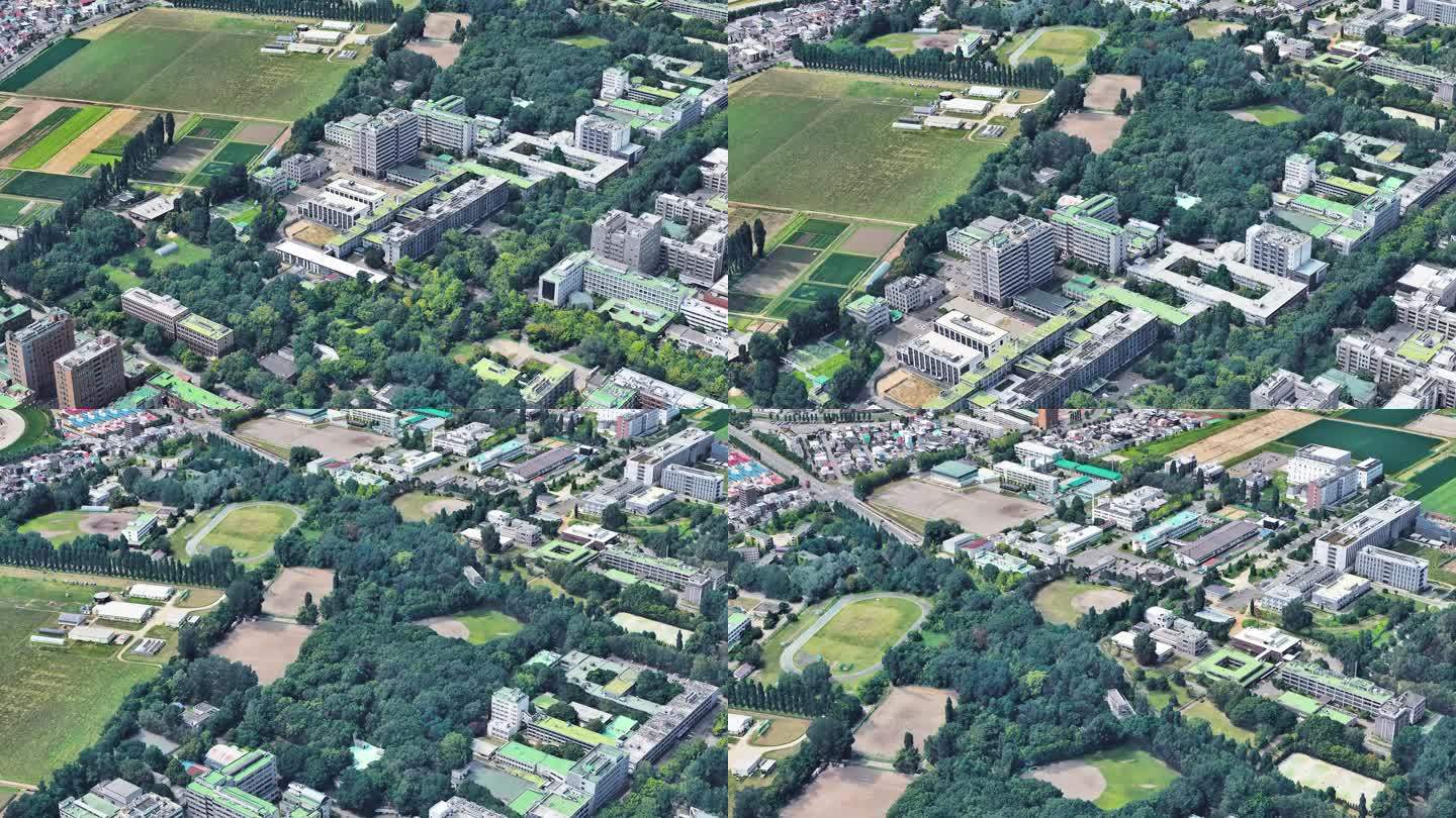 日本北海道大学
