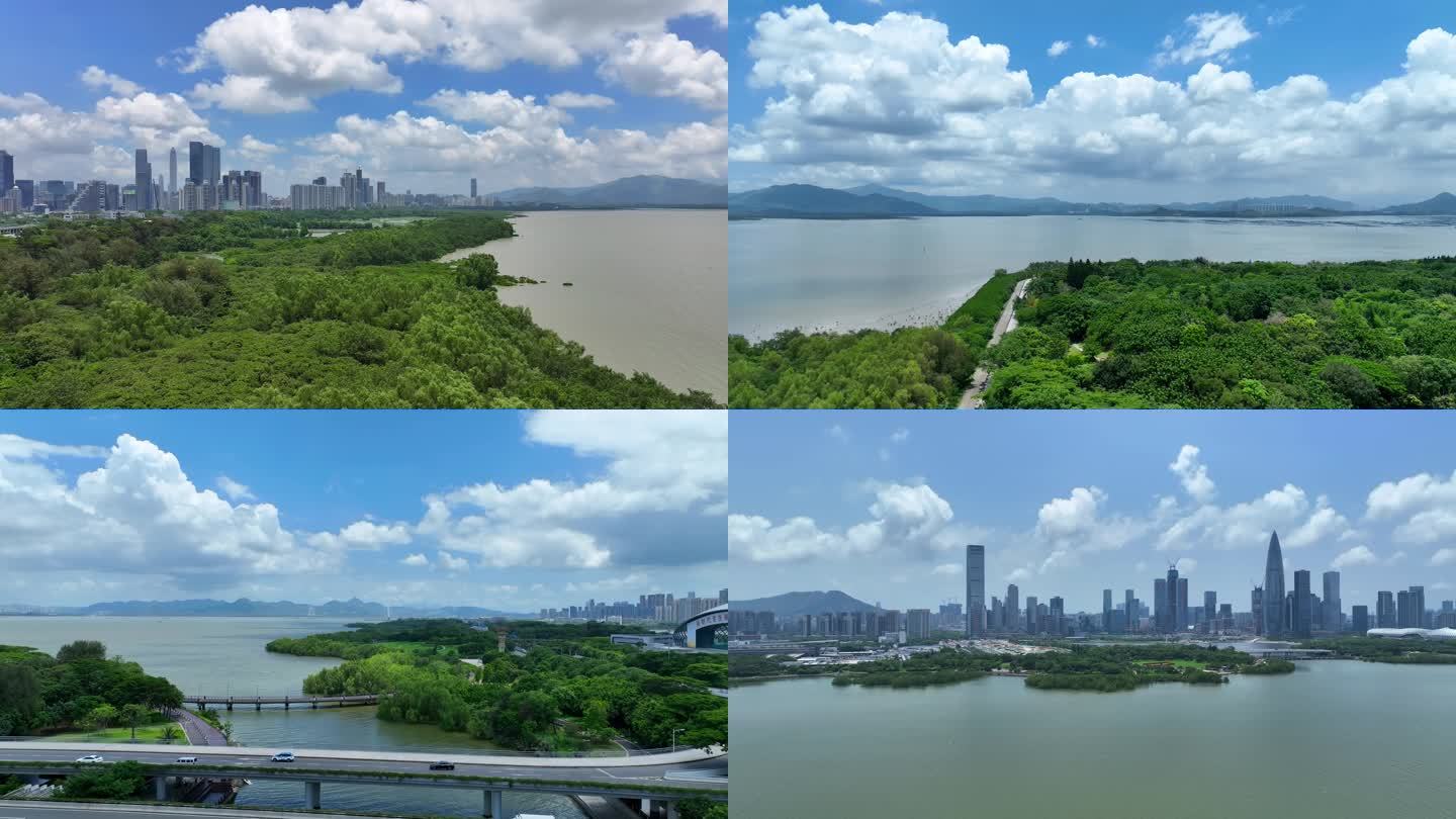 4K深圳湾公园航拍合集