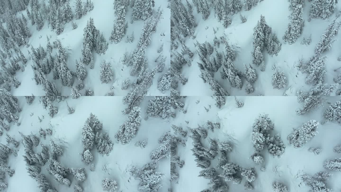 深粉雪电影航拍科罗拉多洛夫兰滑雪场艾森豪威尔隧道库恩山荒郊野外1970年严冬春雪大陆分水岭落基山脉覆