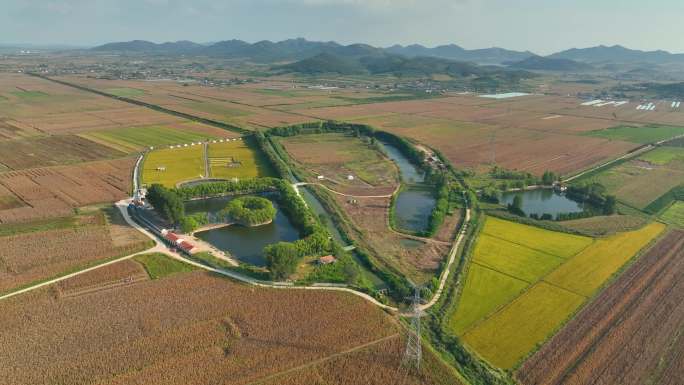 农田稻田农庄景区研学基地秋季航拍