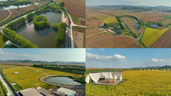 农田稻田农庄景区研学基地秋季航拍