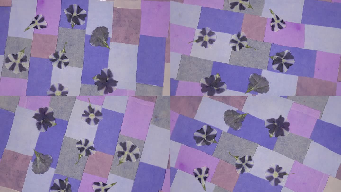 干牵牛花是在纺织背景与织物元素在紫色调