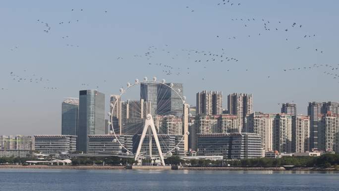 深圳前海欢乐港湾湾区之光