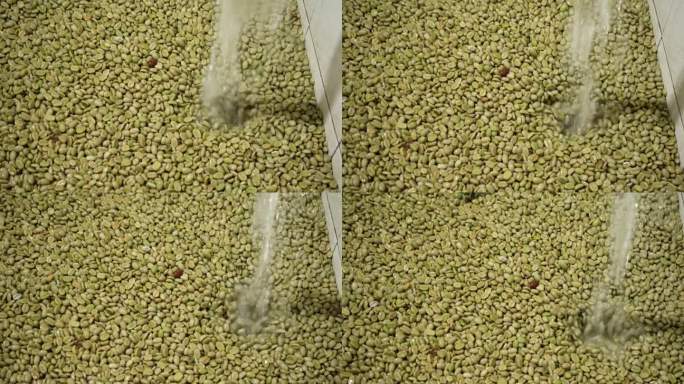 高品质的咖啡豆在清洗和干燥生产过程中的视频