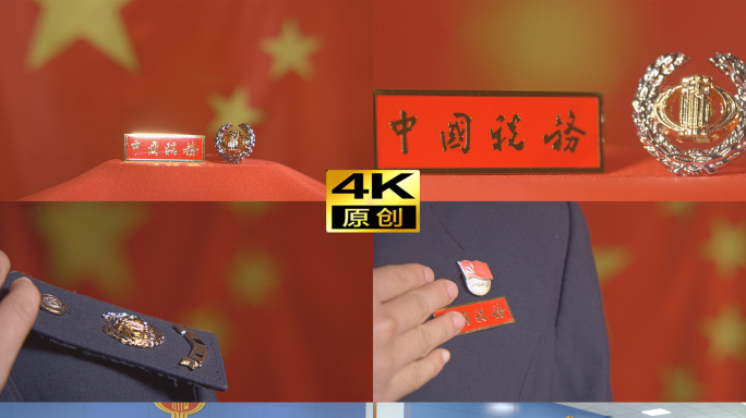 4K中国税务 税徽展示