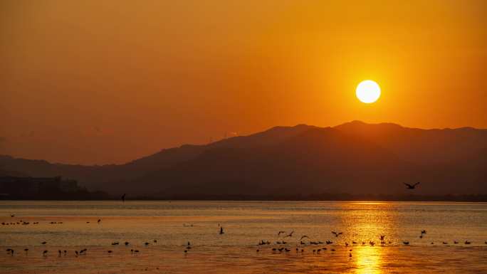 深圳湾日出