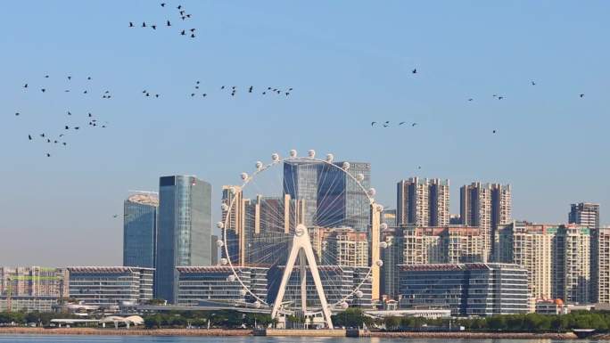 深圳前海欢乐港湾湾区之光