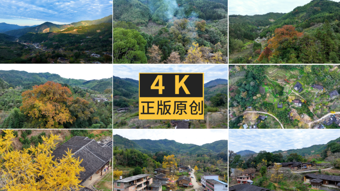 尤溪县中仙乡龙门场古银杏山林山村