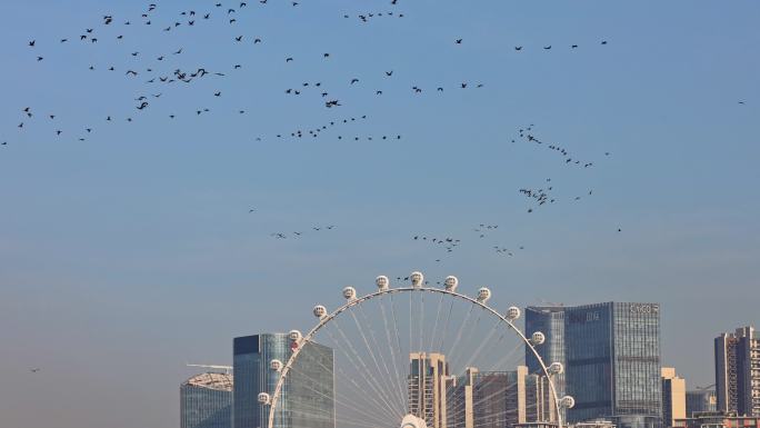 深圳前海欢乐港湾湾区之光