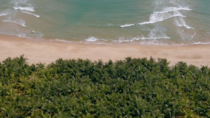 原创4k旅拍海边沙滩椰树大海海浪航拍空镜