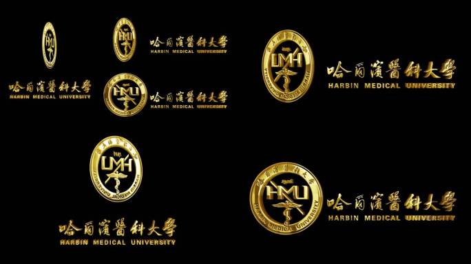 哈尔滨医科大学_金属质感LOGO立体旋转