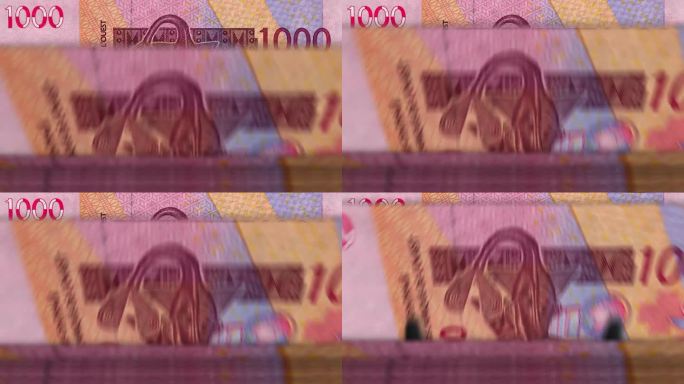 西非CFA法郎数钞机停机循环