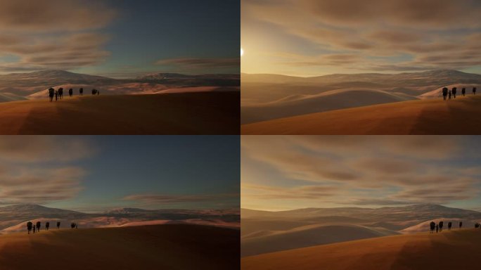 4K黄昏 沙漠 骆驼3