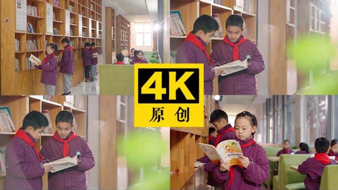 图书馆 小学生阅读 小学教育