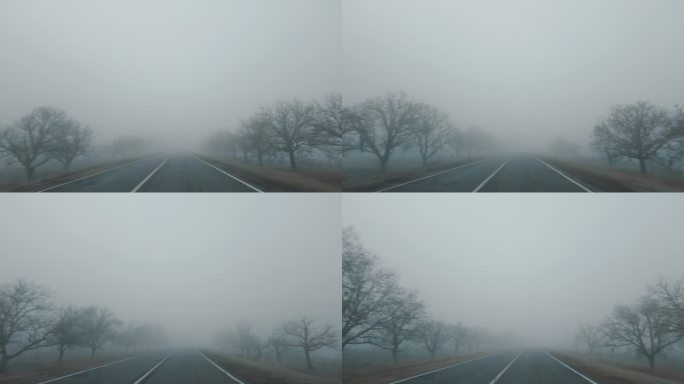 早晨日出时的车窗和前方道路，有雾和树木
