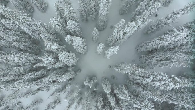 电影航拍科罗拉多冬季仙境春天深粉雪覆盖松树洛夫兰滑雪胜地艾森豪威尔隧道库恩山偏远地区70大陆分水岭落