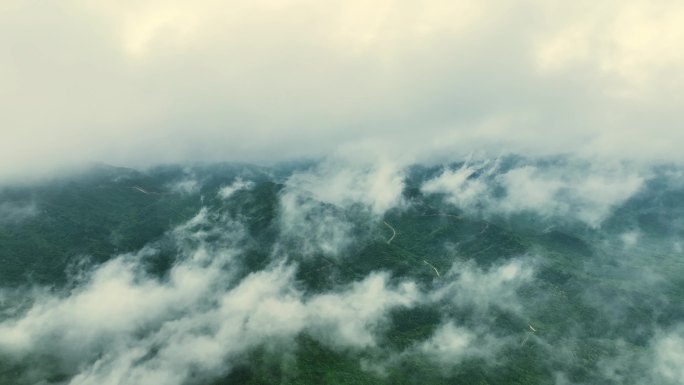 森林 云雾 自然 群山 航拍 大美中国