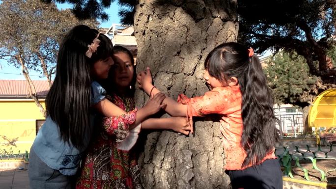 三个拉丁女孩在拉丁美洲玻利维亚的一个户外公园里玩树-友谊的概念