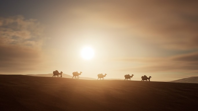 4K黄昏 沙漠 骆驼5