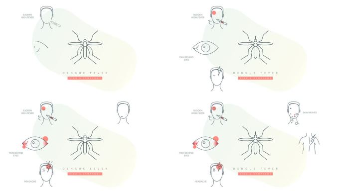 登革热(DENV) -主要症状-库存动画插图