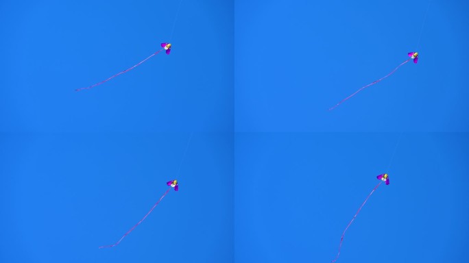 蓝天下飞翔的风筝