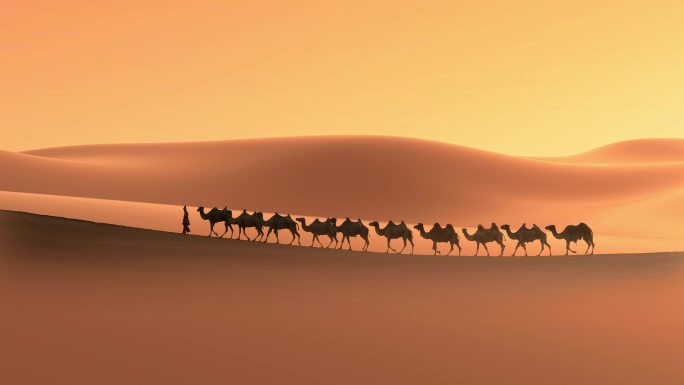 4K丝绸之路沙漠上的驼队