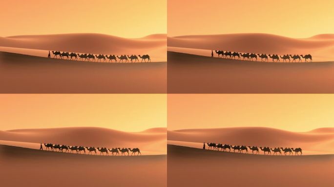 4K丝绸之路沙漠上的驼队