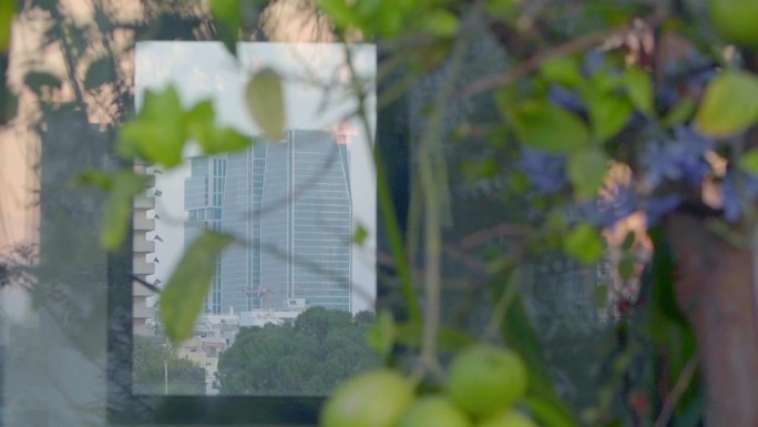 高耸的玻璃摩天大楼映照在镜子里，前景是一棵柠檬树。