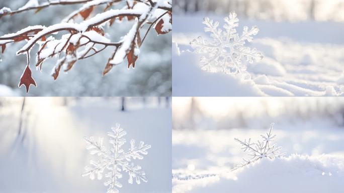 唯美雪花  雪景  树叶 小草