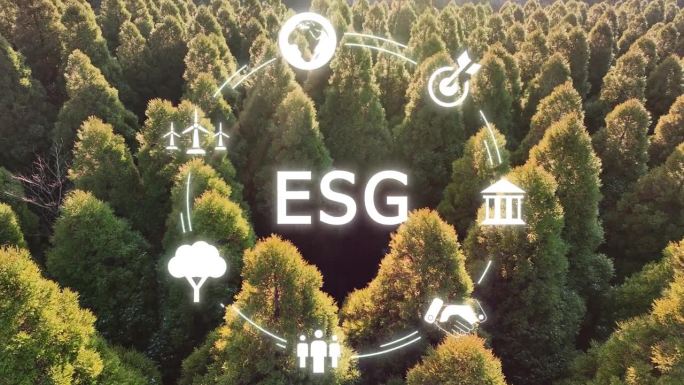 走向绿色环保，实现ESG零净业务。环保道德