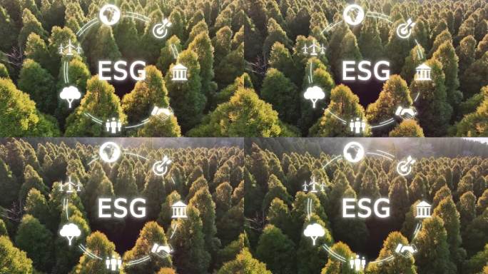 走向绿色环保，实现ESG零净业务。环保道德