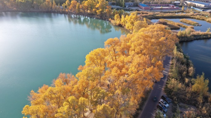 秋景 胡杨林 蓝色的湖 意境美 新疆民丰