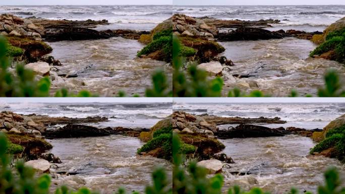 浑浊的雨水从排水系统进入海岸线上的海洋