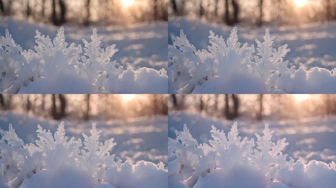 雪花冰晶结晶冬天下雪冬季唯美浪漫雪景霜花