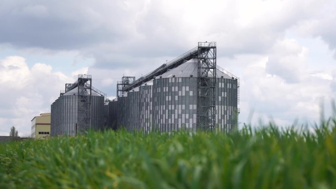 大型金属筒仓，带有清洗线和设备的现代谷物升降机，用于在绿色麦田中加工，干燥，清洗和储存农产品和谷物。