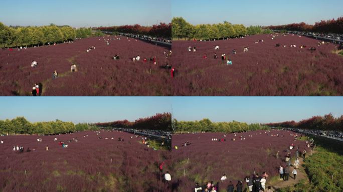 秦皇岛 宁海大道 航拍 4k 原素材