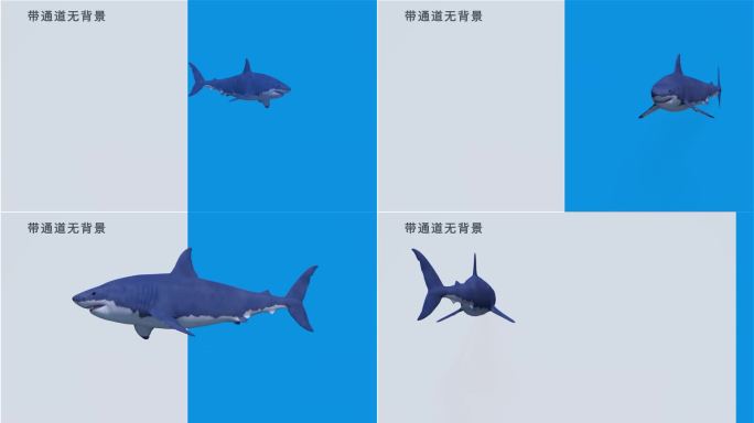 出屏鲨鱼带通道可以做裸眼3d视频素材